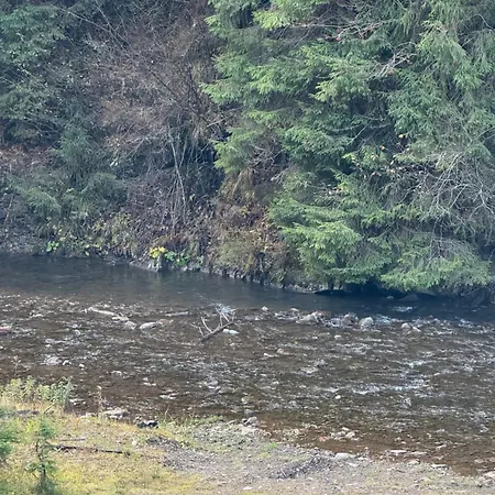 гірська роса * Synevyrs'ka Polyana