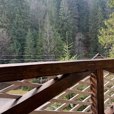 гірська роса